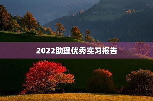 2022助理优秀实习报告 2022助理优秀实习报告