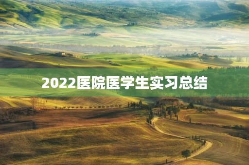 2022医院医学生实习总结 2022医院医学生实习总结
