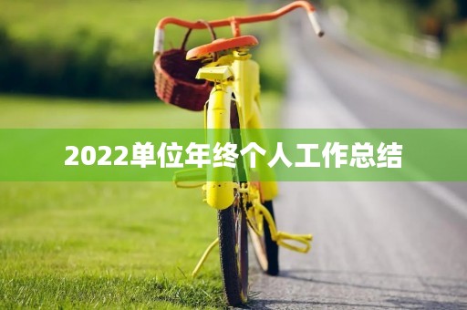 2022单位年终个人工作总结