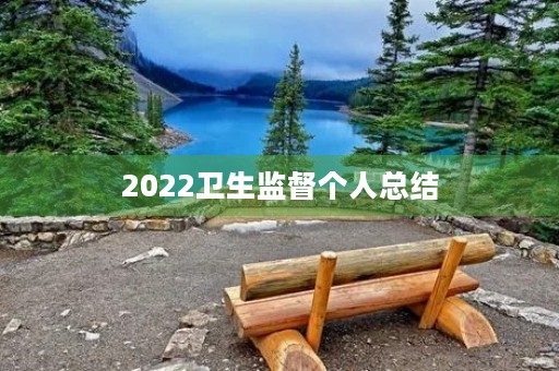 2022卫生监督个人总结
