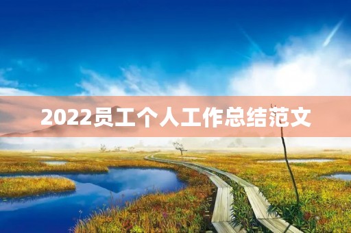 2022员工个人工作总结范文