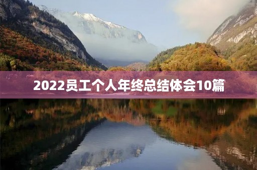 2022员工个人年终总结体会10篇