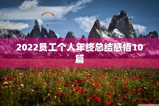 2022员工个人年终总结感悟10篇