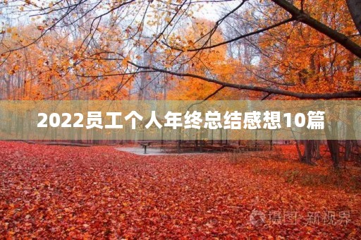 2022员工个人年终总结感想10篇