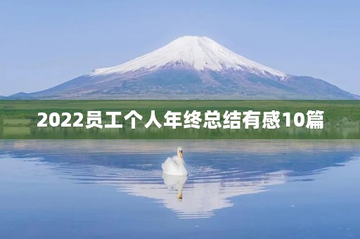 2022员工个人年终总结有感10篇