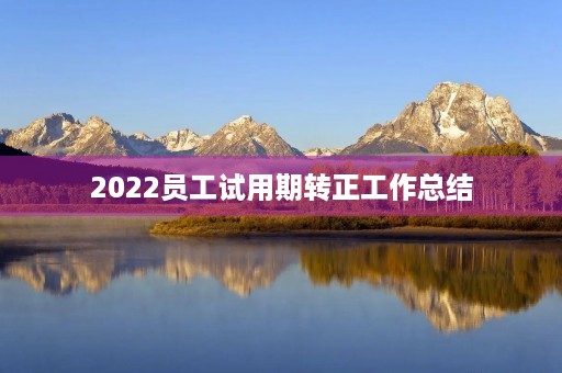 2022员工试用期转正工作总结