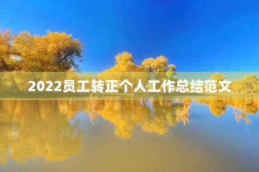 2022员工转正个人工作总结范文