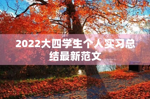 2022大四学生个人实习总结最新范文