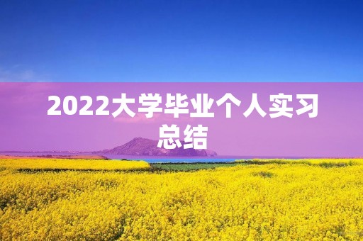 2022大学毕业个人实习总结