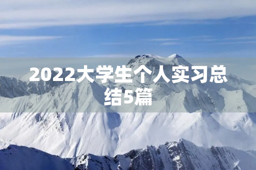 2022大学生个人实习总结5篇