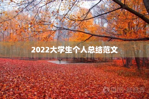 2022大学生个人总结范文