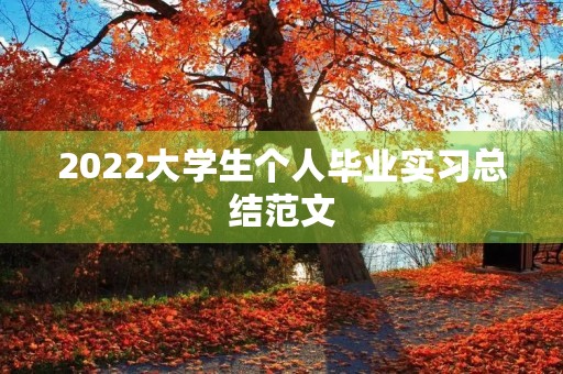 2022大学生个人毕业实习总结范文