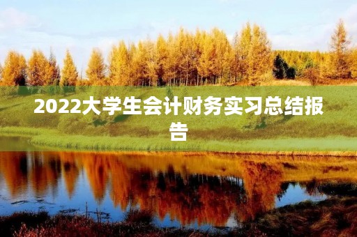 2022大学生会计财务实习总结报告