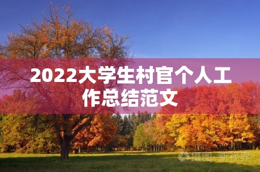 2022大学生村官个人工作总结范文 2022大学生村官个人工作总结范文