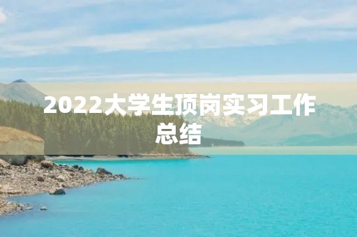 2022大学生顶岗实习工作总结