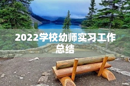 2022学校幼师实习工作总结