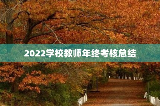 2022学校教师年终考核总结