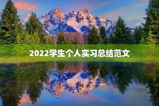 2022学生个人实习总结范文