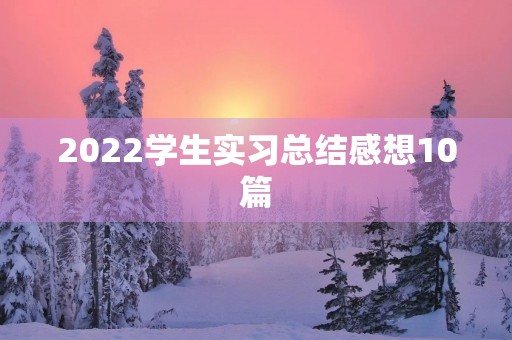 2022学生实习总结感想10篇 2022学生实习总结感想10篇
