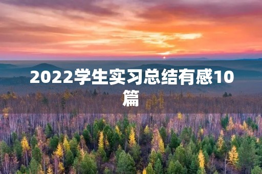 2022学生实习总结有感10篇