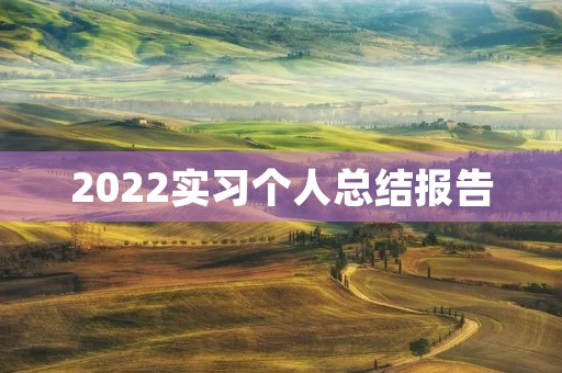 2022实习个人总结报告 2022实习个人总结报告