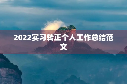 2022实习转正个人工作总结范文