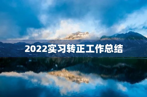 2022实习转正工作总结