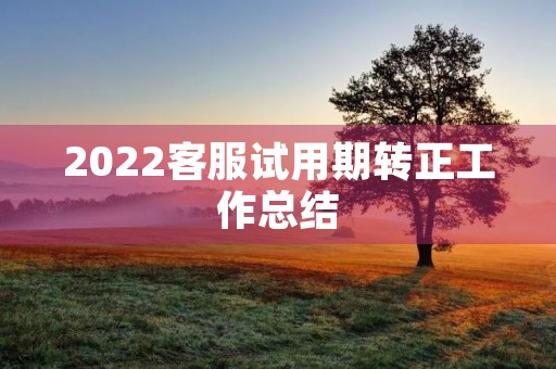 2022客服试用期转正工作总结