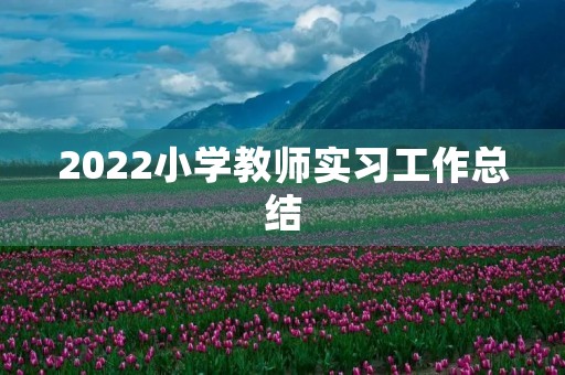 2022小学教师实习工作总结 2022小学教师实习工作总结