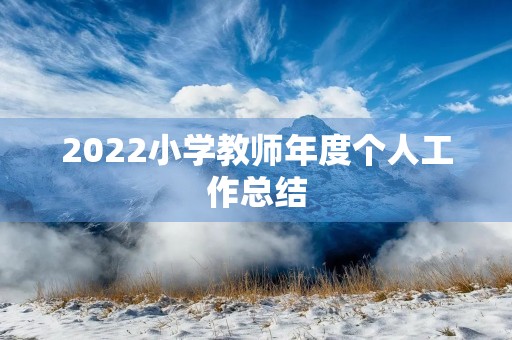 2022小学教师年度个人工作总结