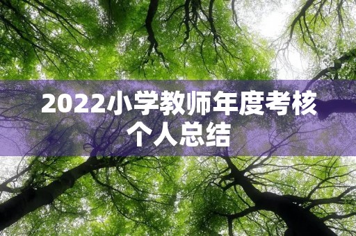 2022小学教师年度考核个人总结