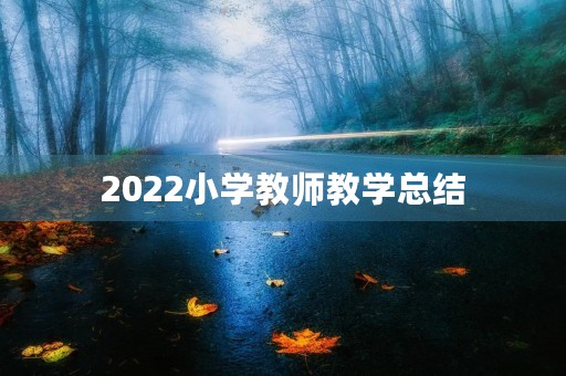 2022小学教师教学总结