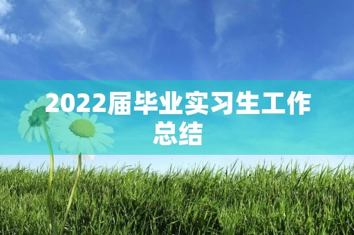 2022届毕业实习生工作总结 2022届毕业实习生工作总结