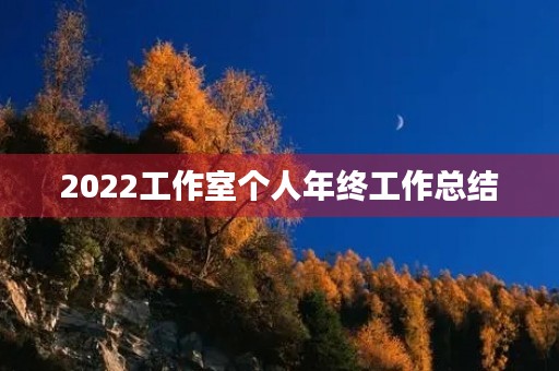 2022工作室个人年终工作总结【10篇】