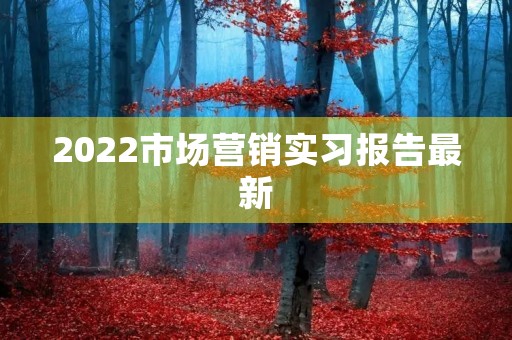 2022市场营销实习报告最新 2022市场营销实习报告最新