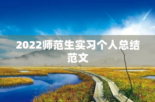 2022师范生实习个人总结范文