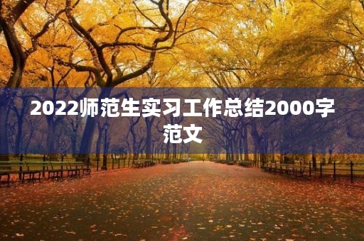 2022师范生实习工作总结2000字范文