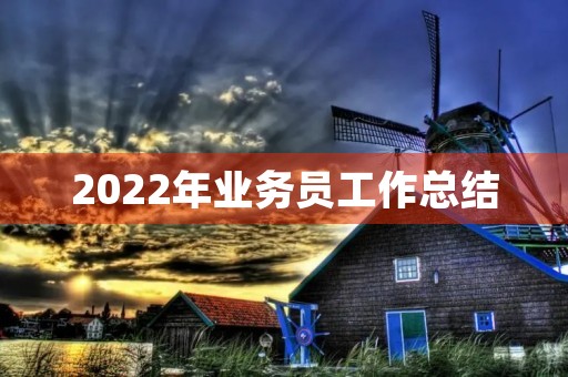 2022年业务员工作总结