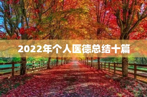 2022年个人医德总结十篇