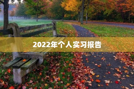 2022年个人实习报告