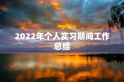 2022年个人实习期间工作总结