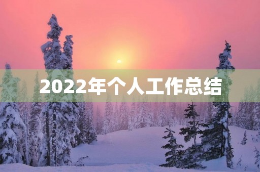 2022年个人工作总结(20篇)