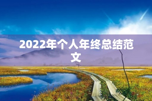 2022年个人年终总结范文
