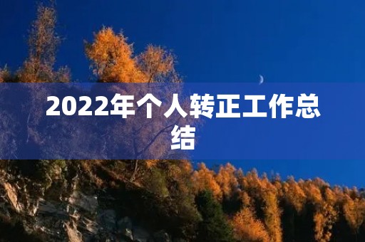 2022年个人转正工作总结