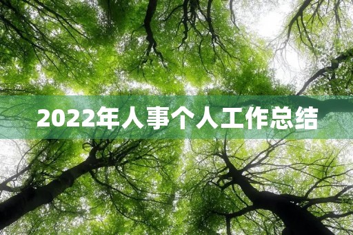 2022年人事个人工作总结