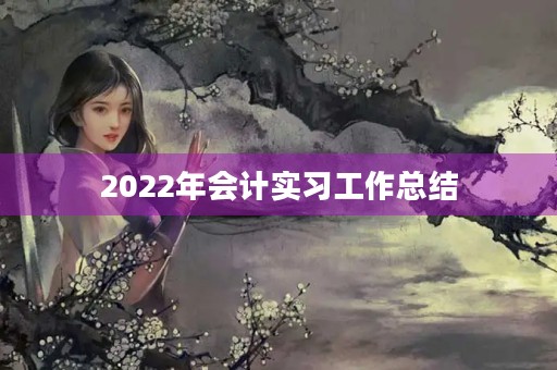 2022年会计实习工作总结