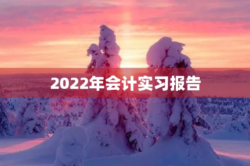 2022年会计实习报告