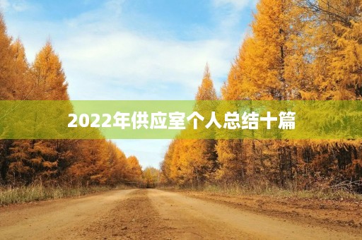 2022年供应室个人总结十篇