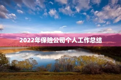 2022年保险公司个人工作总结