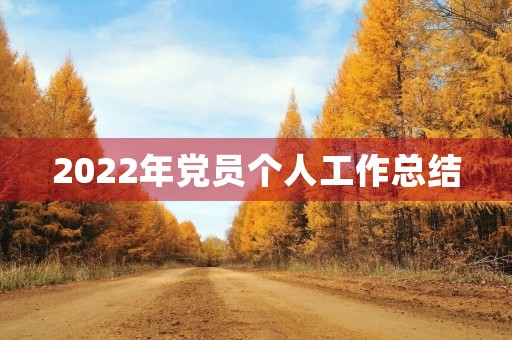2022年党员个人工作总结